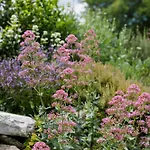 Domaine De La Barbeirasse Σπίτι διακοπών *