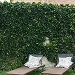 Domaine De La Barbeirasse Σπίτι διακοπών *