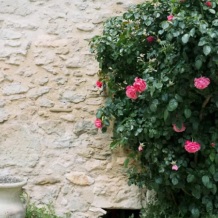 Domaine De La Barbeirasse *