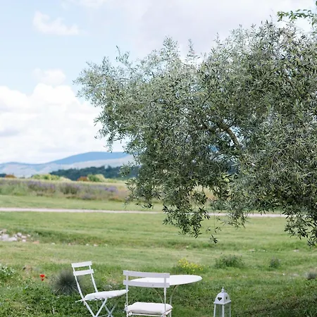 Domaine De La Barbeirasse Дом отдыха *