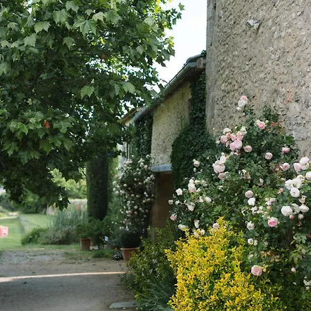 Domaine De La Barbeirasse Cereste