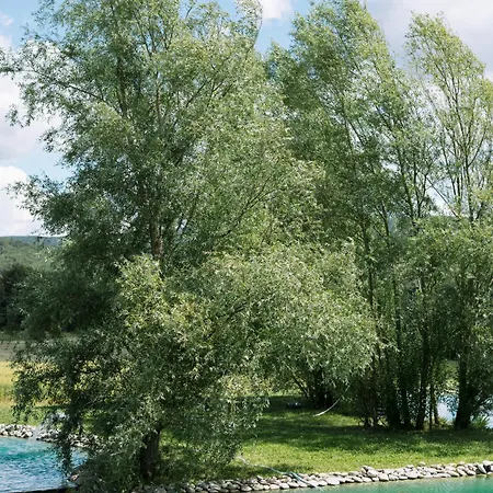 Дом отдыха Domaine De La Barbeirasse