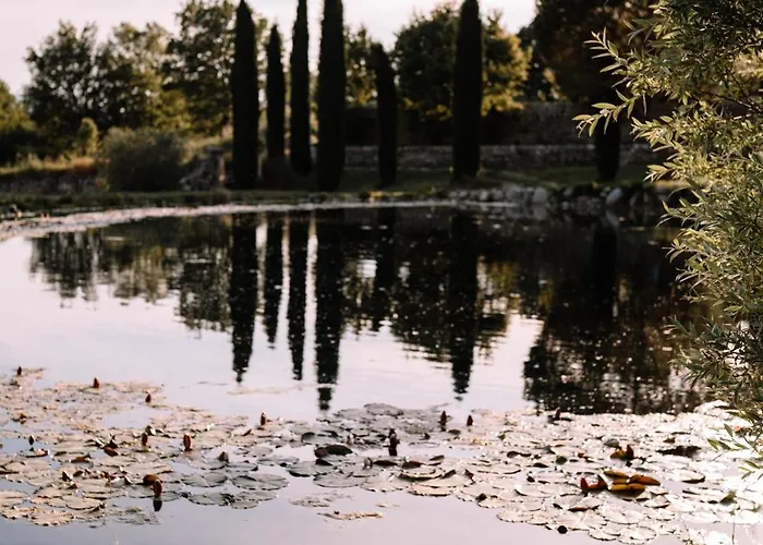 Domaine De La Barbeirasse