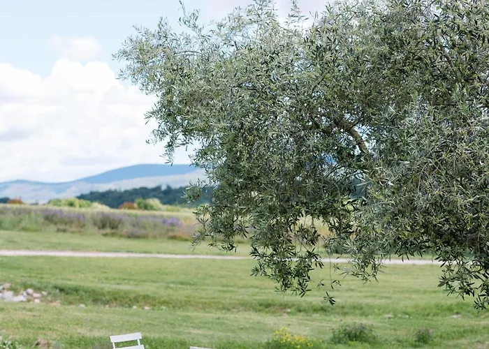 Domaine De La Barbeirasse Holiday home *