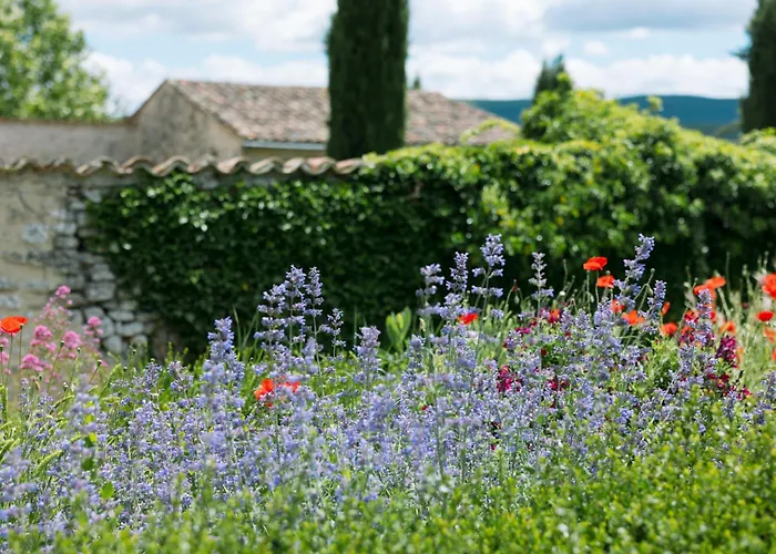 Domaine De La Barbeirasse *