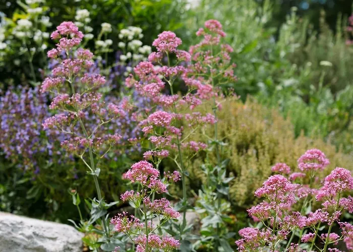 Domaine De La Barbeirasse Holiday home *