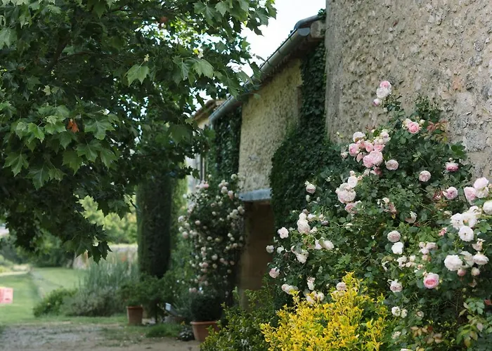 Domaine De La Barbeirasse Cereste