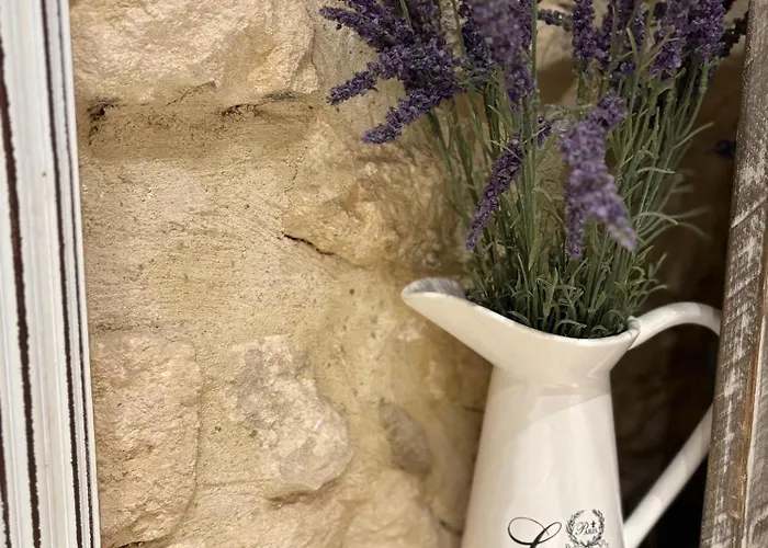 Domaine De La Barbeirasse Holiday home *