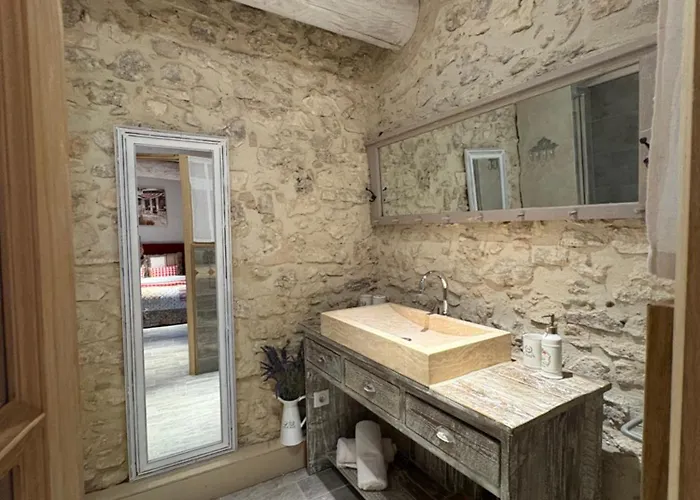 Domaine De La Barbeirasse Holiday home