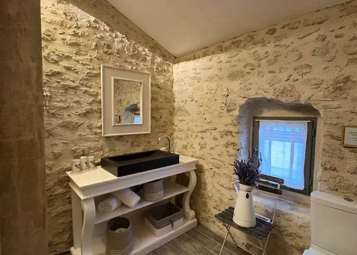 Domaine De La Barbeirasse Holiday home